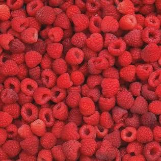 Freeze Dried Fruit -Single Flavors