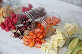 Freeze Dried Fruit -Single Flavors